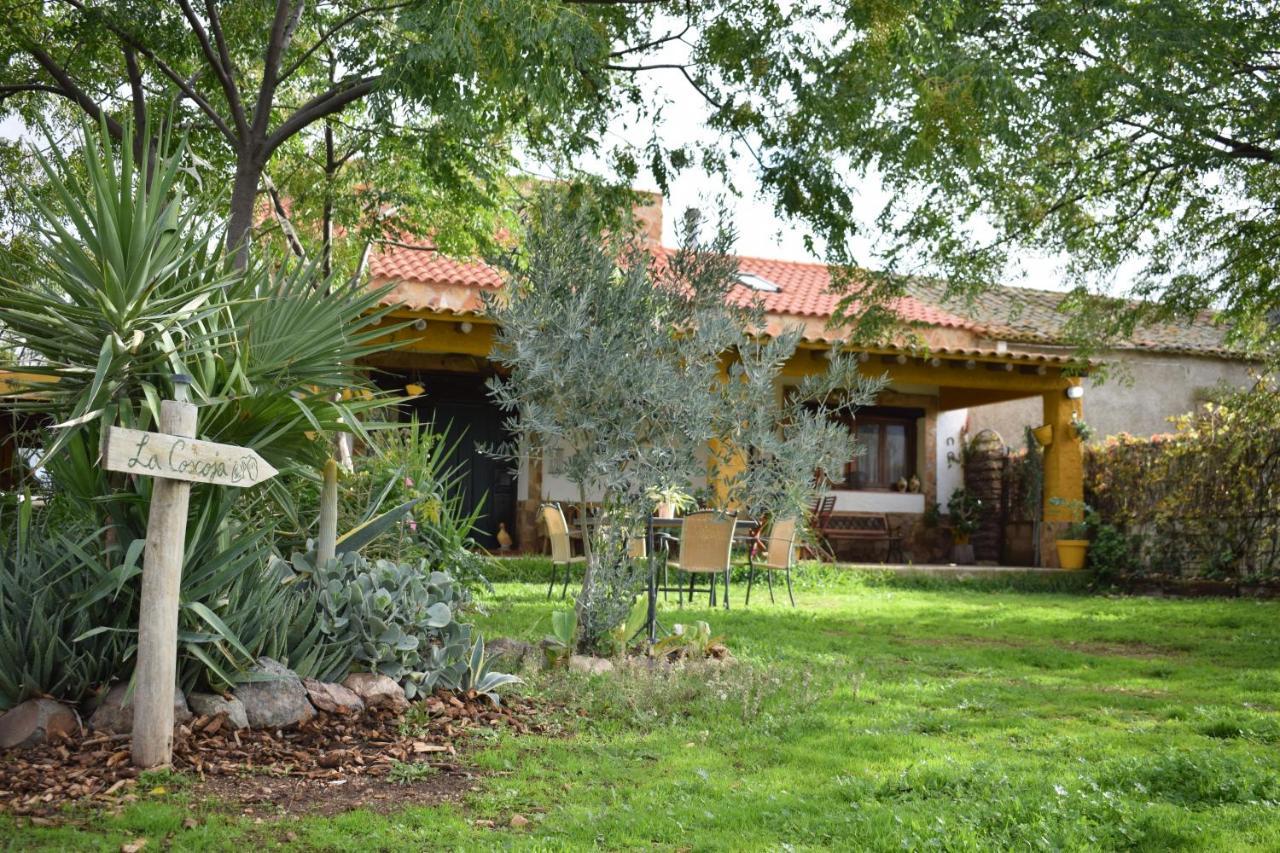 Casa Rural La Coscoja เมรีดา ภายนอก รูปภาพ